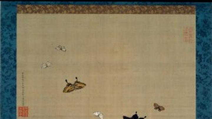 Peonies and Butterflies (c. 1757) 