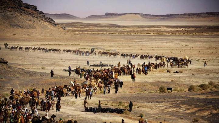 An astonishingly long desert caravan (above) is part of <em>Journey to Mecca.</em>