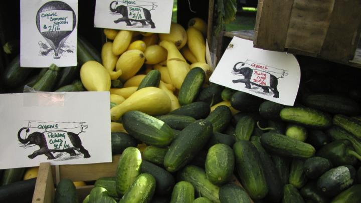 Cukes, summer squash, and plenty of other local produce and homemade goods may be found at the Farmers’ Market at Harvard