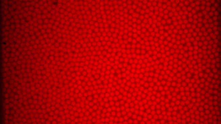 The behavior of tiny, deformable spheres packed together has helped scientists understand how glass flows.