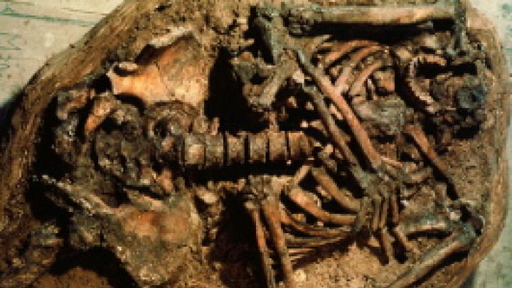 A Neanderthal man dated to about 60,000 years ago, found in a dug-out grave in Kebara Cave on Mount Carmel in northern Israel. The shape of the man's hyoid bone, which controls the tongue, suggests that he was capable of speech. His skull had been removed without disturbing the other bones after the flesh had decayed, perhaps as part of a symbolic mortuary practice. 