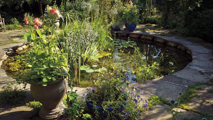  The water garden, with surrounding planters,