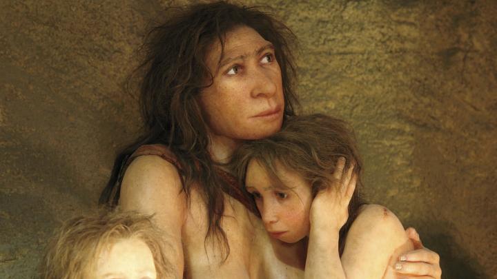 The ancestors of modern humans interbred with other early hominids, including Neanderthals. 