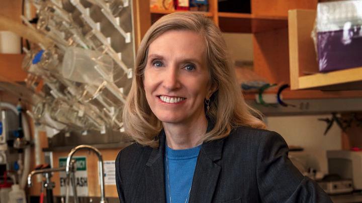 Kari Nadeau sits in her lab