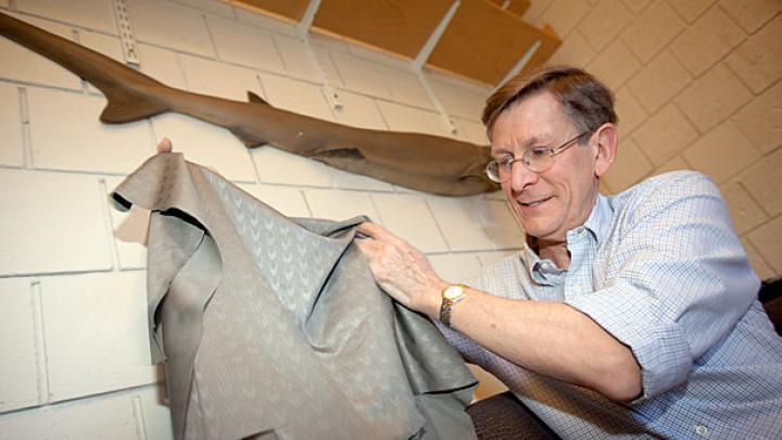 Bigelow professor of ichthyology George Lauder in his lab with a model of a shark (above) and a sample of the "sharkskin" swimsuit fabric that he studied. Some Olympic swimmers favor the high-tech fabric, believing that it increases speed.