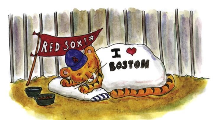 From <i>On the Loose in Boston: A Find-the-Animals Book,</i> by Sage Stossel  