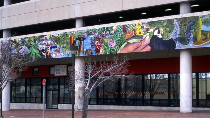 Photograph courtesy of David Fichter <i>Alewife Reservation</i>