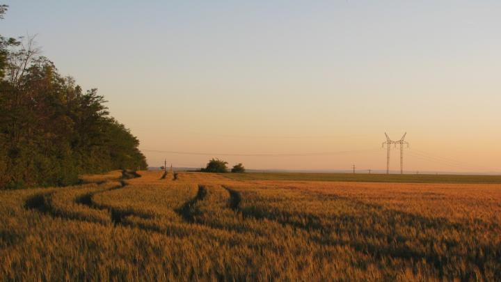 Crop fields in Hungary.