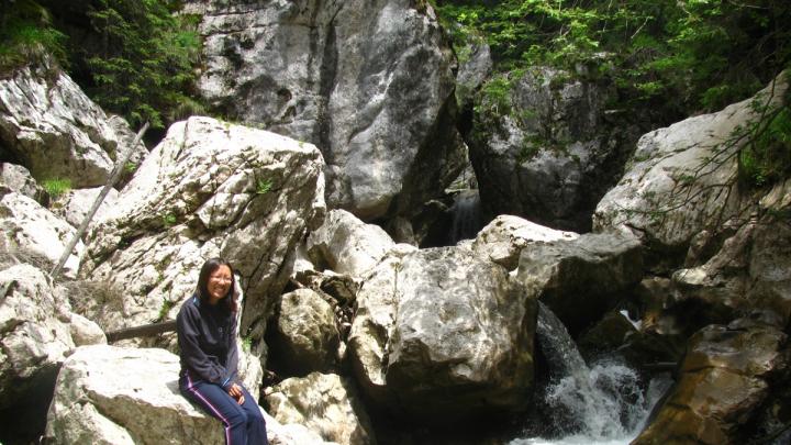 River in a gorge in Romania’s Carpathian mountains, one of the collecting sites.