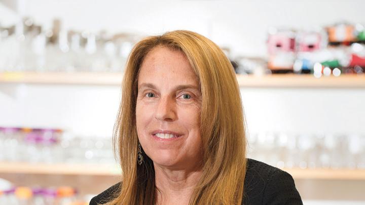Pamela A. Silver and colleagues engineered bacteria that detect and report on the presence of a certain molecule in a mouse&rsquo;s gut.