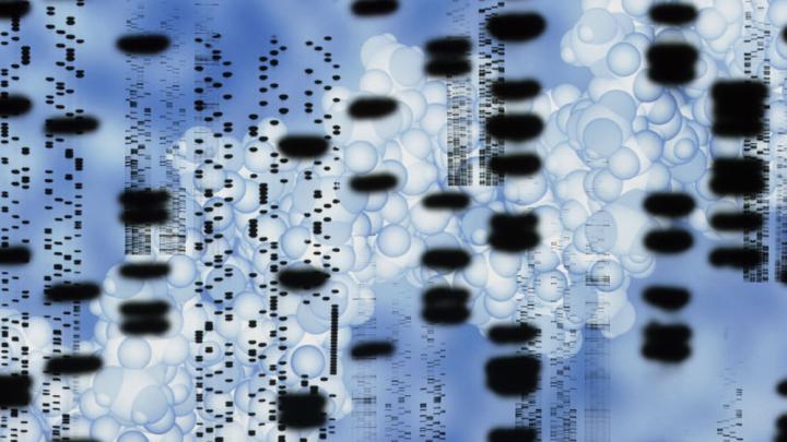 Computer artwork of an autoradiogram of DNA sequences. 