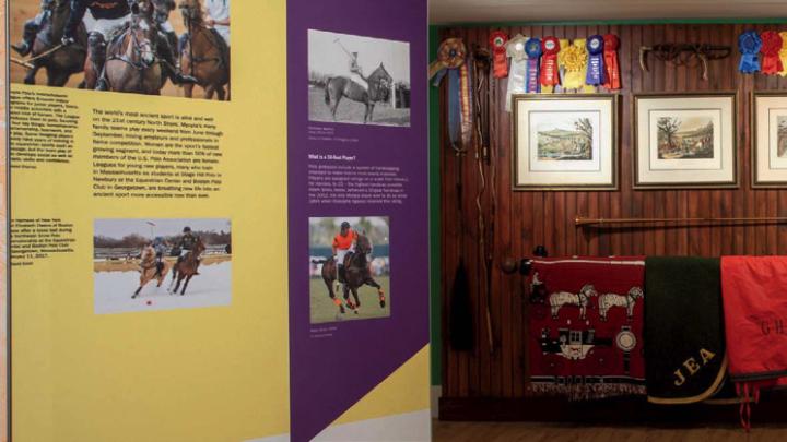 Tack-room gear like bridles, blankets, and saddles is also on display.