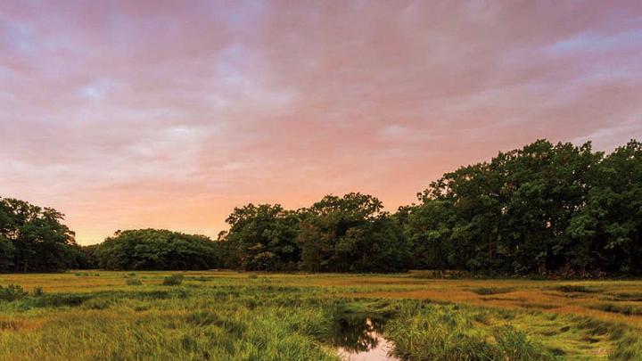 A colorful scene of marsh grasses and water at twilight within the Castle Neck River Reservation.