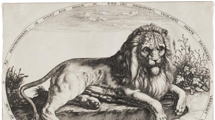 Jacques de Gheyn II, <i>Great Lion,</i> c. 1590. Engraving.