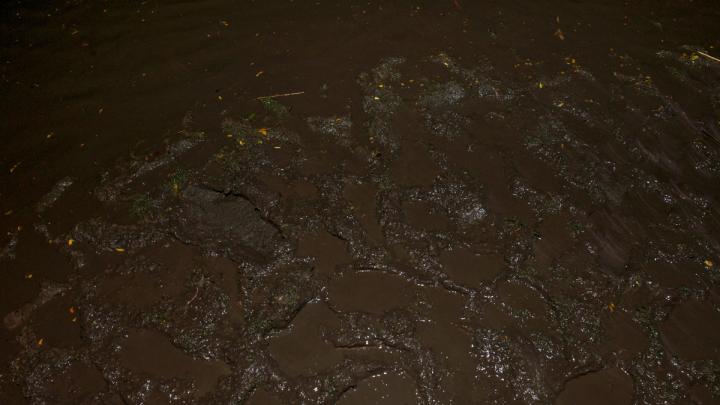 Mud in Tercentenary Theatre came to resemble quicksand, ruining many a pair of shoes over the course of the evening.