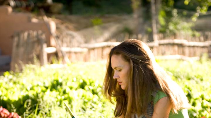 Wade tends her three-acre garden, with a 1,200-square-foot greenhouse, in Nambé, a hamlet 20 miles north of Santa Fe, with help from one other gardener.