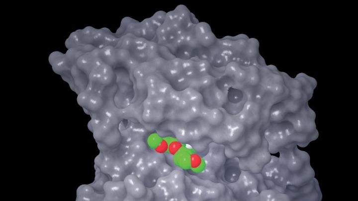 The cancer drug gefitinib (also known as Iressa) is shown bound to the druggable protein EGFR. Gefitinib is used to treat non-small cell lung cancer.