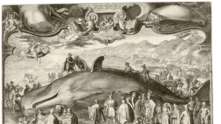 Jan Saenredam’s 1602 engraving, <i>Beached Whale near Beverwijk,</i> shows the artist himself sketching the scene in the left foreground, translating empirical information gathered by others to create an accurate visual record of the carcass. Yet the allegorical frame at the top of the print nevertheless alludes to a classical past by asking whether the beaching of the whale is an ill omen for the Dutch.