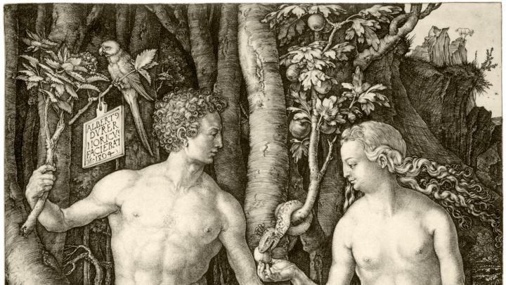 Dürer’s 1504 <i>Adam and Eve,</i> a study of the perfect human body, from early in his career, presaged lifelong interests: from studies of human proportion to natural­istic renderings of plants and animals.