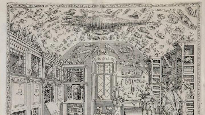 From <i>Cabinets of Curiosity and Rooms of Wonder</i> at the Houghton Library