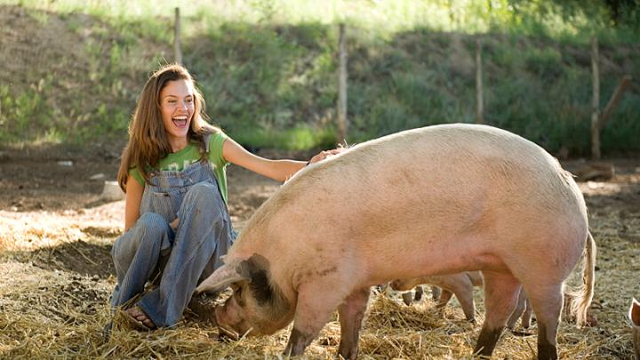 Wade with one of her composting pigs, which recycle all the restaurant’s food waste