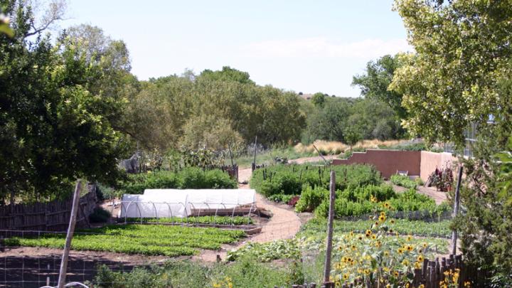 Wade tends her three-acre garden, with a 1,200-square-foot greenhouse with help from one other gardener. 