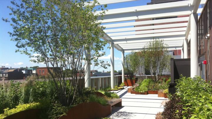 The new museum’s rooftop garden, looking west