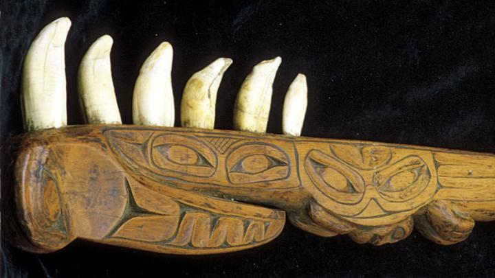A Nisga&rsquo;a club is armed with whale teeth (British Columbia)