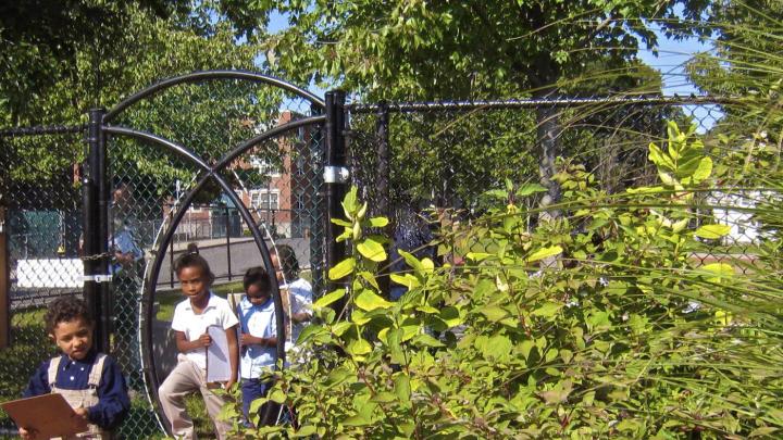 Miller has designed outdoor classroom spaces for several Boston Public Schools.