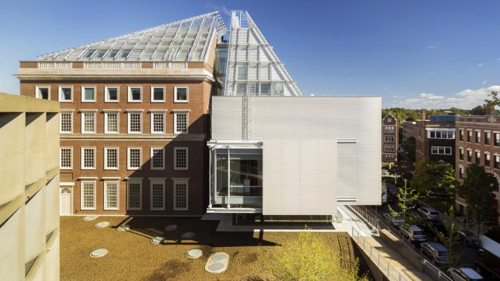 The Winter Garden galleries of the Harvard Art Museums were designed as places for visitors to rest their minds and eyes, says architect Renzo Piano.