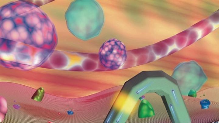 Hyman professor of  chemistry Charles Lieber has created a transistor so small it can be used to  penetrate cell membranes and probe their interiors, without disrupting function. The transistor (yellow) sits near the bend in a hairpin-shaped, lipid-coated  silicon nanowire. Its scale  is similar to that of intra-cellular structures such as  organelles (pink and blue orbs) and actin filaments (pink strand). 