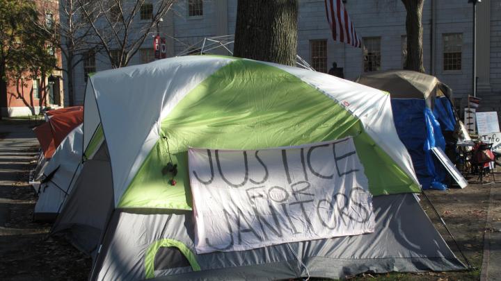 An Occupy Harvard tent on December 1, 2011
