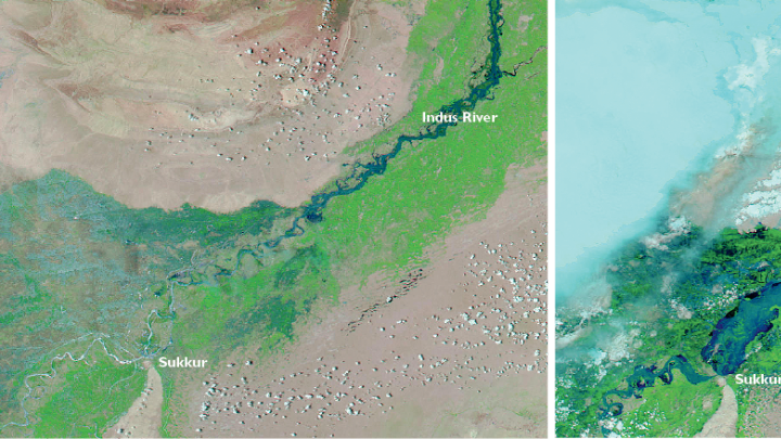 Satellite imagery from NASA shows the devastating extent of flooding in Pakistan in 2010. The Indus (dark blue) was well within its banks on July 18 (left), dwindling almost to nothing as it meandered south. But by August 8 (right), it had swelled with monsoon rain so that vast areas of the river valley were flooded. 