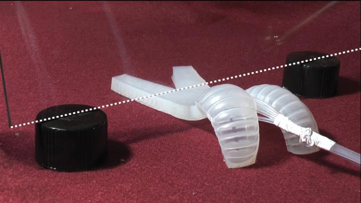 The soft robot can wiggle its way underneath a pane of glass just three-quarters of an inch above the surface.