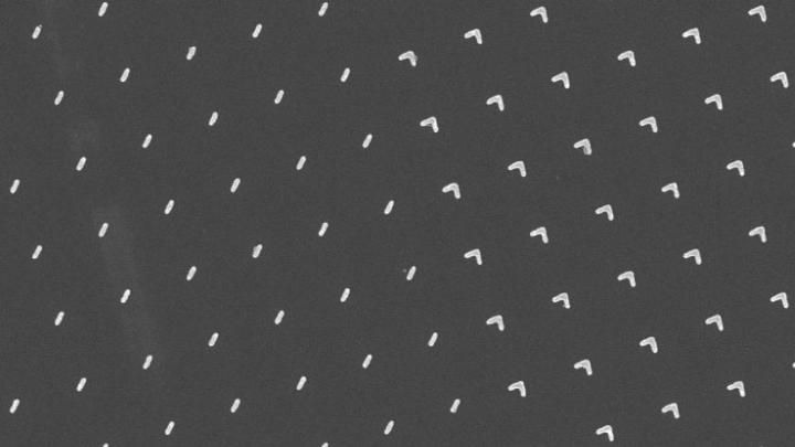 This high-resolution image shows the boundary line between two differently-shaped antennae patterns on the surface of the flat lens.