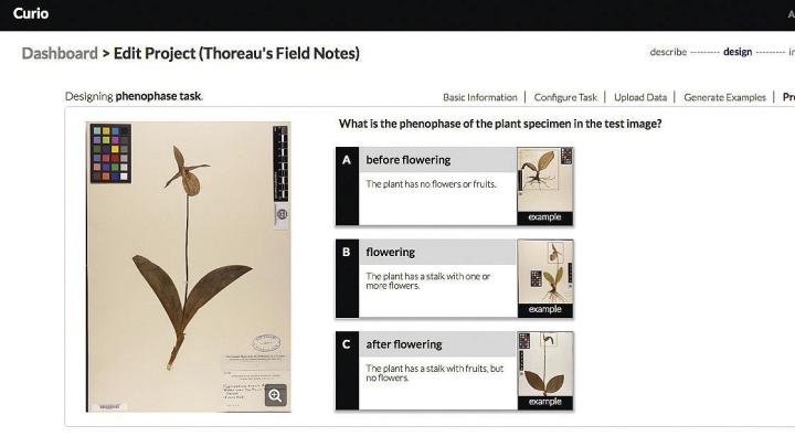 The Thoreau&rsquo;s Field Notes project will train amateurs to analyze herbarium specimens and help assess the botanical impact of climate change.