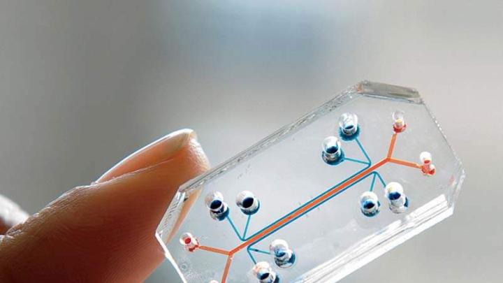 The Wyss Institute team seeks to build and link 10 human organs-on-chips to simulate whole-body physiology.