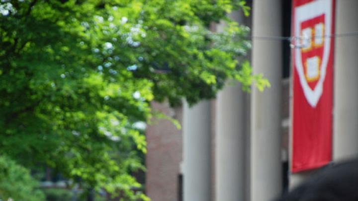 Photograph by Harvard Magazine/VL May 27, 2010 - Regalia on Commencement Day