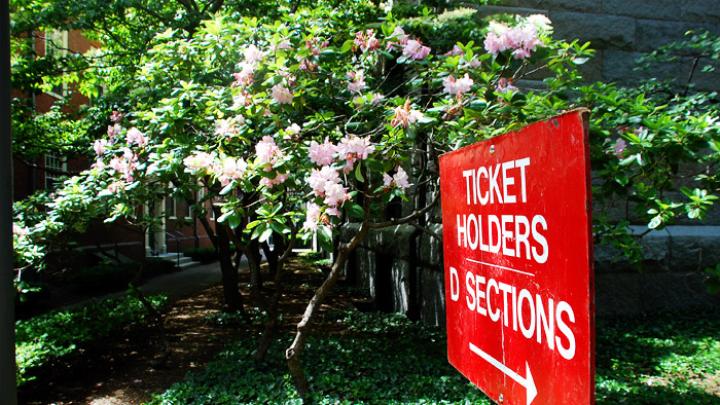 May 27, 2010 - Flowers in bloom inside Harvard Yard