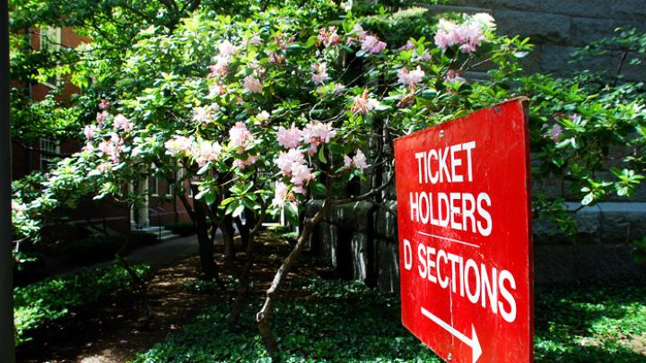 Photograph by Harvard Magazine/VL May 27, 2010 - Flowers in bloom inside Harvard Yard