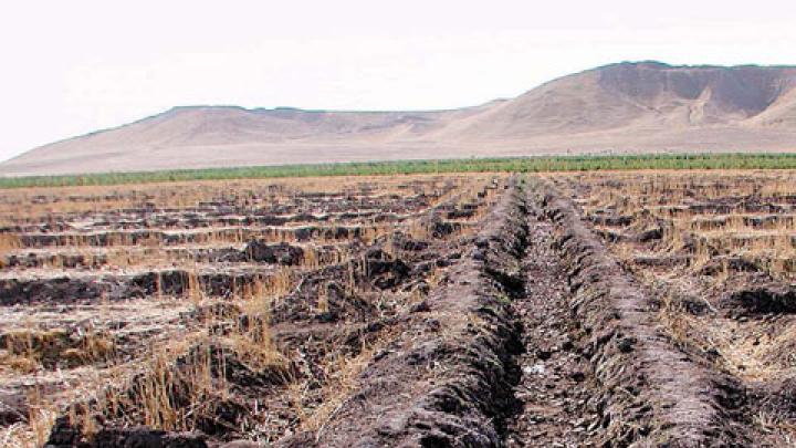 The farm land around Tell Brak’s high central mound