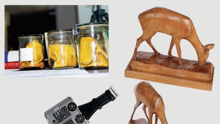 Tools of Stasi spying: jars containing dust cloths used to capture the body scent of people the Stasi was trying to track; a deer statuette with a camera hidden inside; a Swiss-made Tessina 35-mm miniature camera.