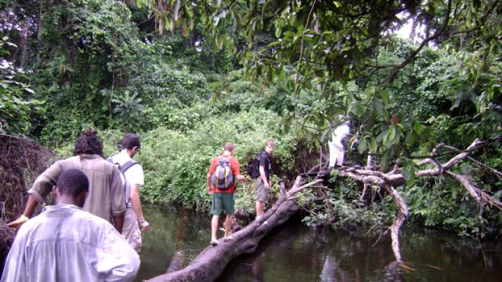 On the way to Nganyahun village, the volunteers tread a delicate path. GMin drove to the larger villages to drop off nets for storage until they could distribute them (carrying them from house to house in bails on their heads).