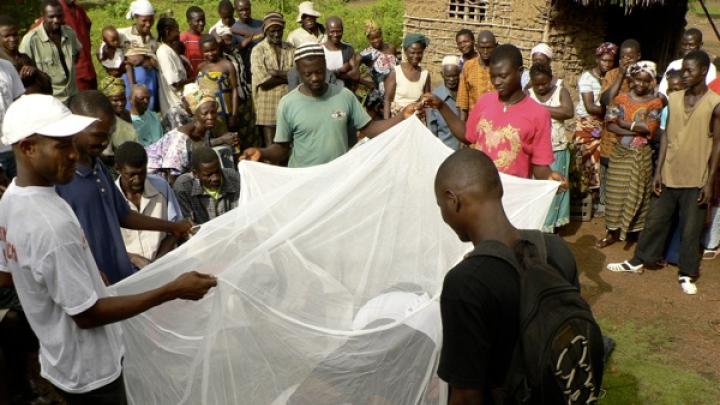 David Sengeh (under net) acts out his part in a skit on malaria, as two Red Cross volunteers hold the net. The skit was narrated in Mende by Red Cross volunteers.