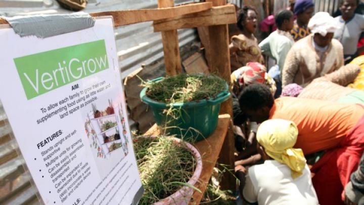 Women in Kibera’s Gatwekera section plant seeds in a prototype of the VertiGrow planter, designed to maximize vertical space and enable growing food without much land. The original prototype, designed at Harvard, was made of PVC pipe. In Kibera, Nowak asked the women how to construct the planter out of cheap, readily available local materials.