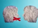 Two heads made of paper with red x over mouth of one head