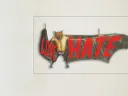 Image of a bat depicting the love-hate relationship associated with the creatures