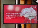How air pollution impacts our brains