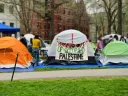 encampments in Harvard Yard