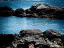 David Gruber on the North Shore of Massachusetts